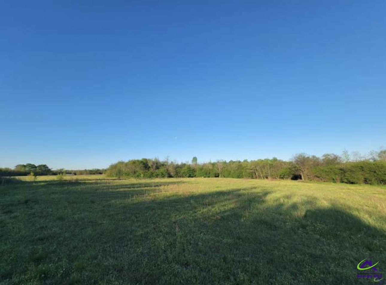 222 Holt Road Hawkinsville, GA 31036 - Photo 3 of 10