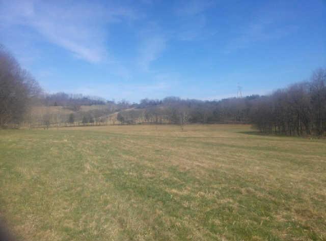 3425 Bailey Road Franklin, TN 37064 - Photo 11 of 20