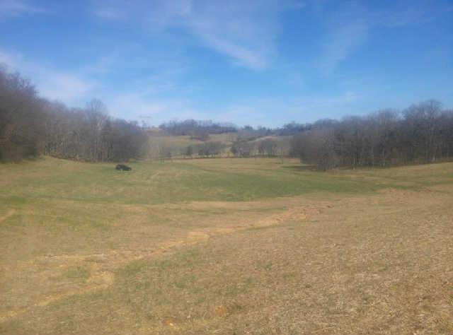 3425 Bailey Road Franklin, TN 37064 - Photo 12 of 20
