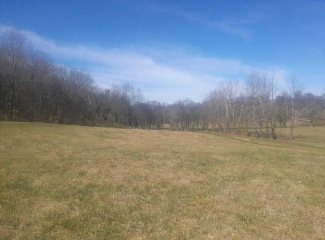 3425 Bailey Road Franklin, TN 37064 - Photo 15 of 20