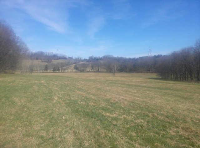 3425 Bailey Road Franklin, TN 37064 - Photo 10 of 20