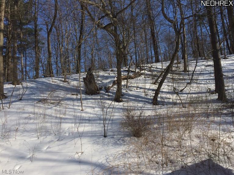 10157 Wisner Road Willoughby, OH 44094 - Photo 24 of 25
