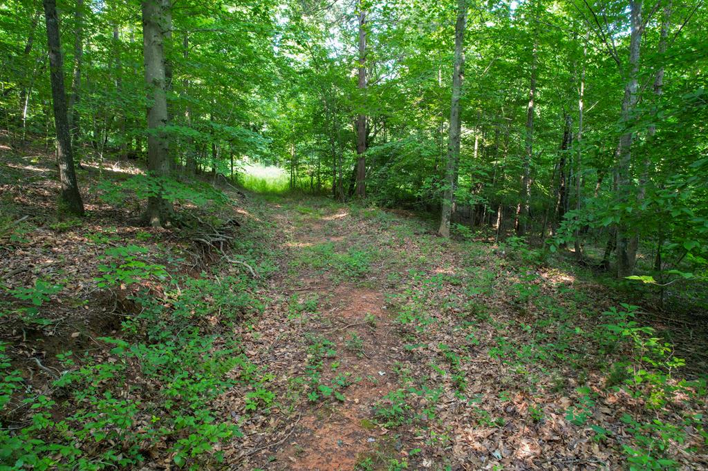 0 Lackey Road, Unit TRACT C Stuart, VA 24171 - Photo 8 of 16 Gallery Image 8
