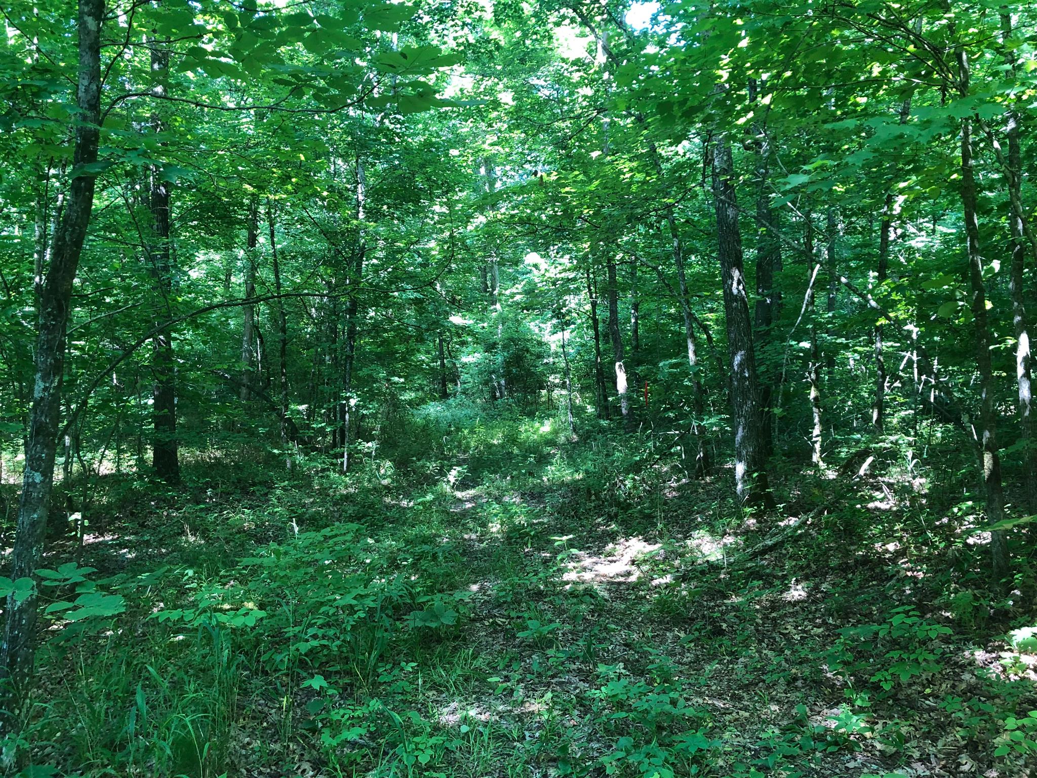 Trails to ride all around. 