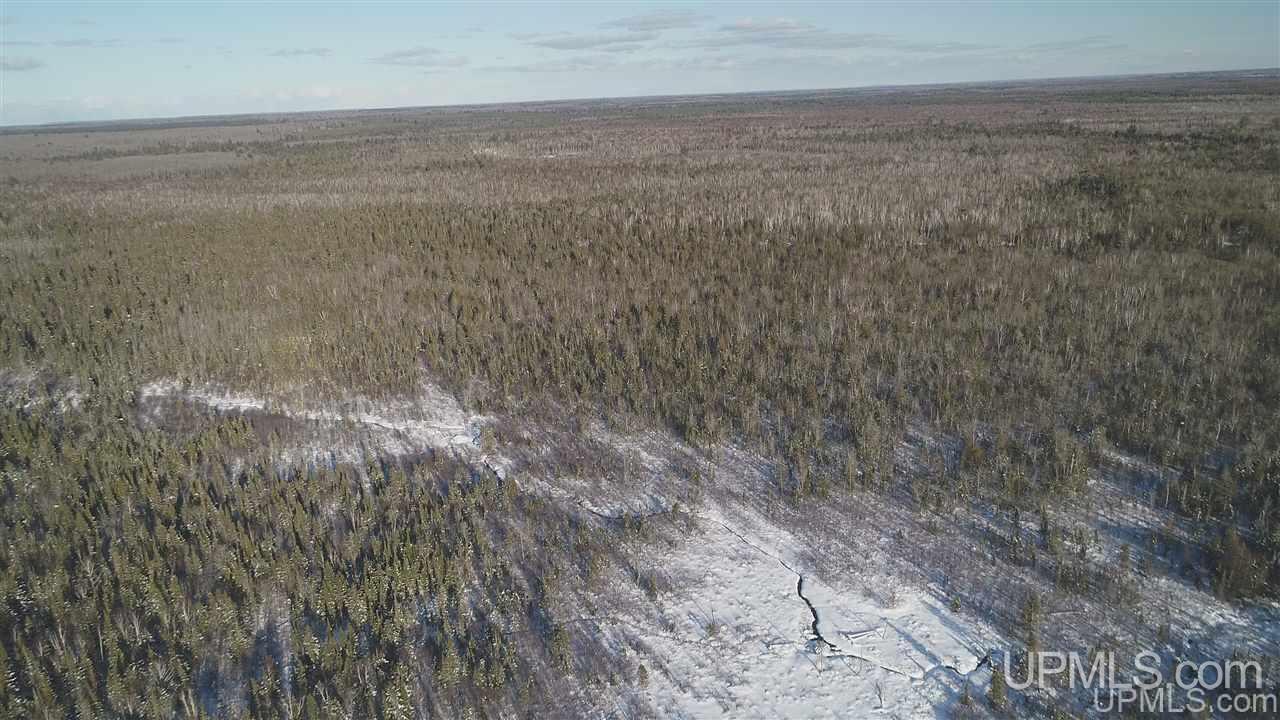 80-acres Co Rd N415 McMillan, MI 49853 - Photo 27 of 36