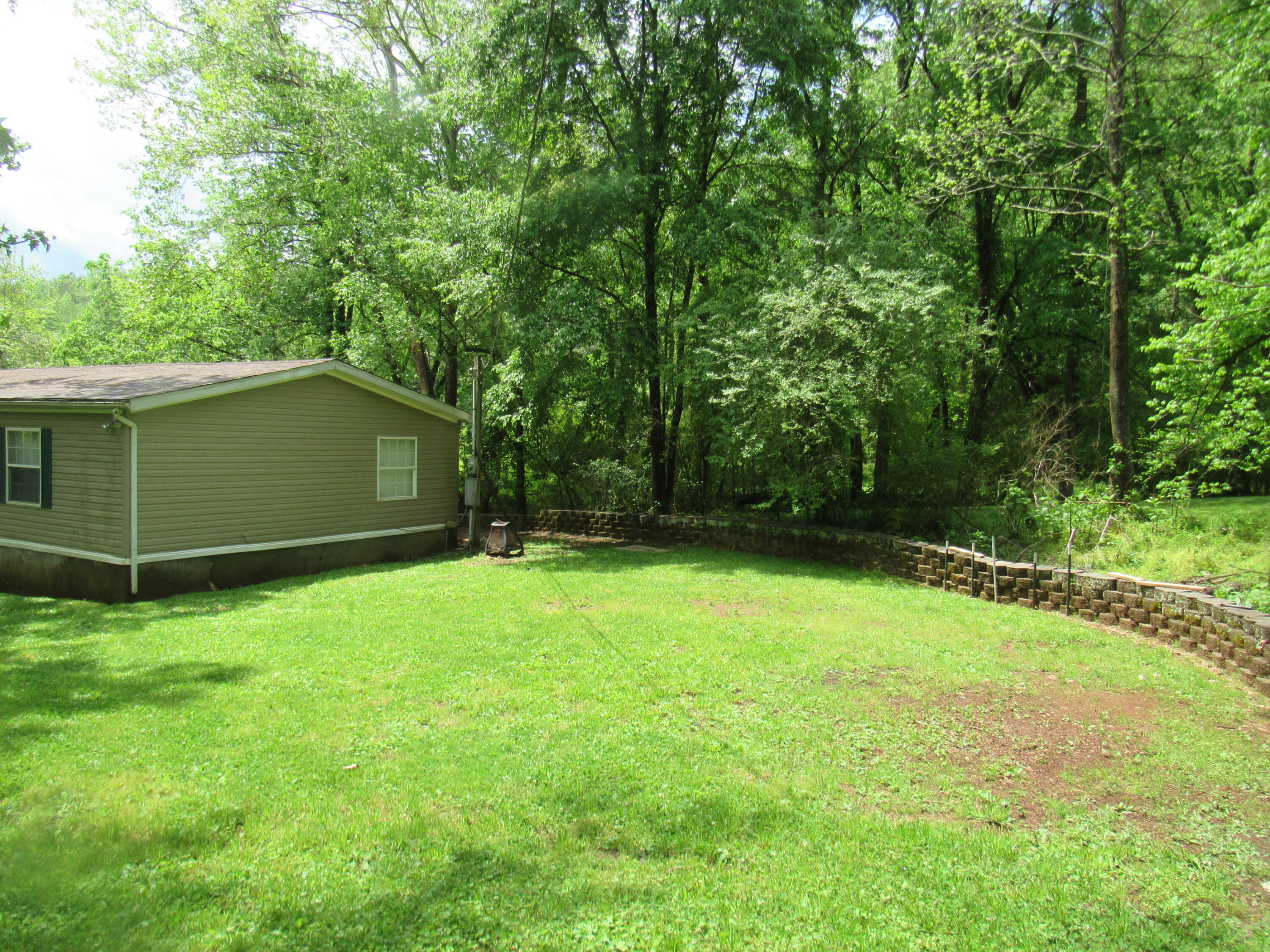 820 Bluff Road Harriman, TN 37748 - Photo 7 of 32 Side yard for playing