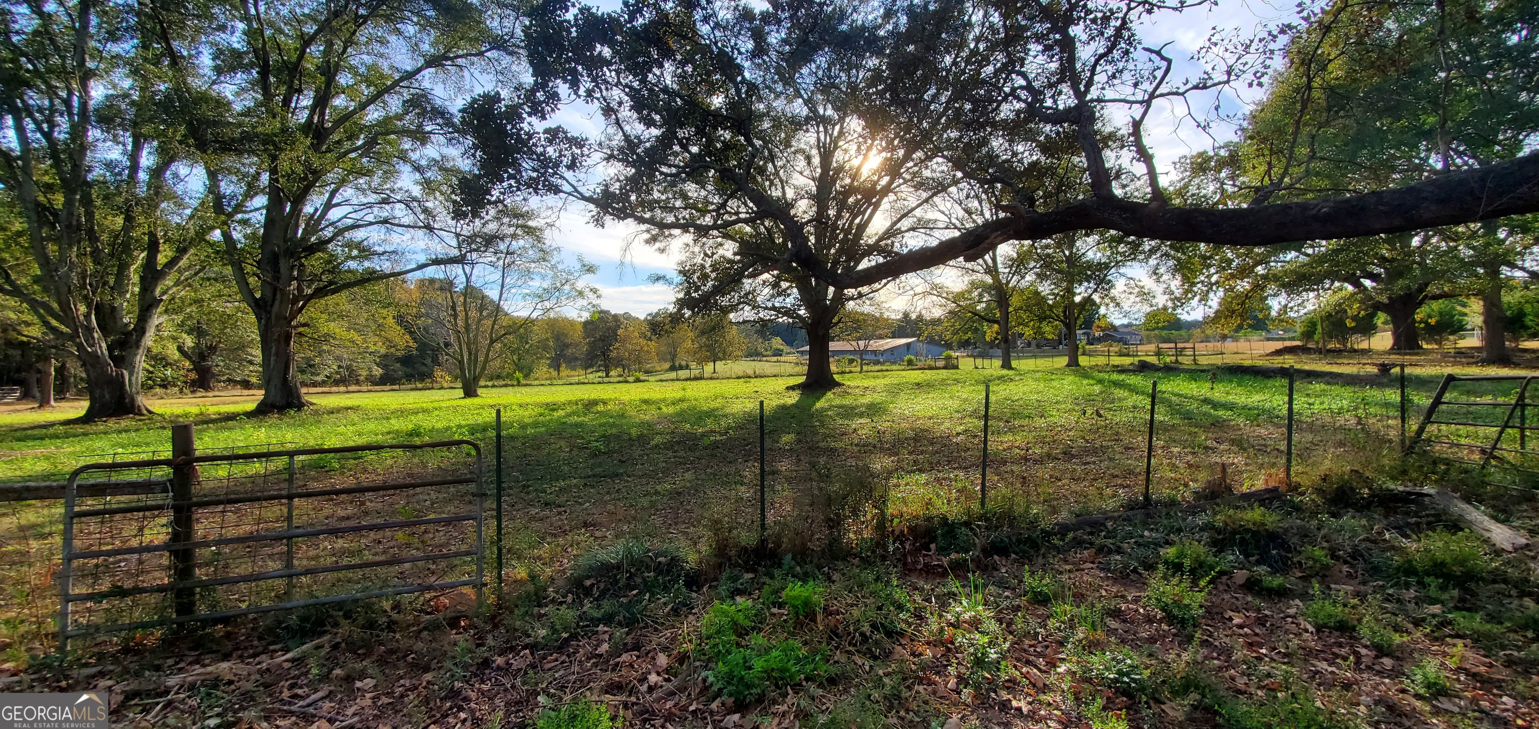 1061 Burger Road Watkinsville, GA 30677 - Photo 4 of 43 a view of a park with large trees