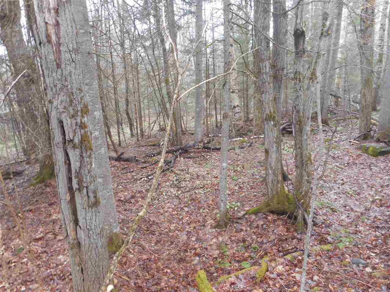 40 Rogers Pond Road Pittsburg, NH 03592 - Photo 14 of 18