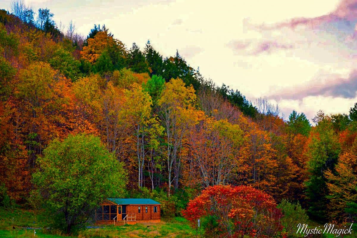 429 Community Drive, Unit 7 8 9 10 11 Randolph, VT 05061 - Photo 16 of 29