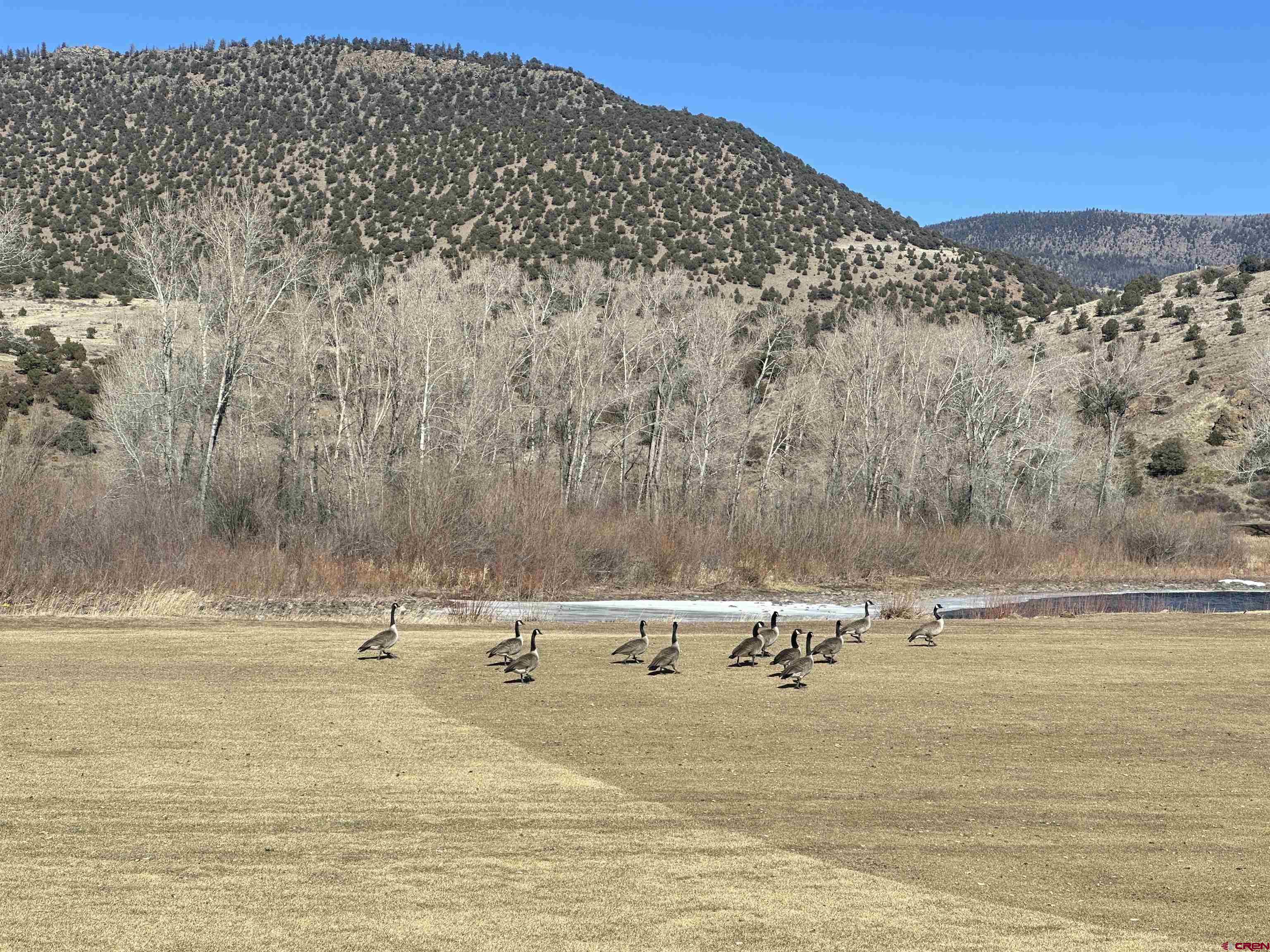 160 West Riverside Court South Fork, CO 81154 - Photo 12 of 16 a view of a lake with a mountain