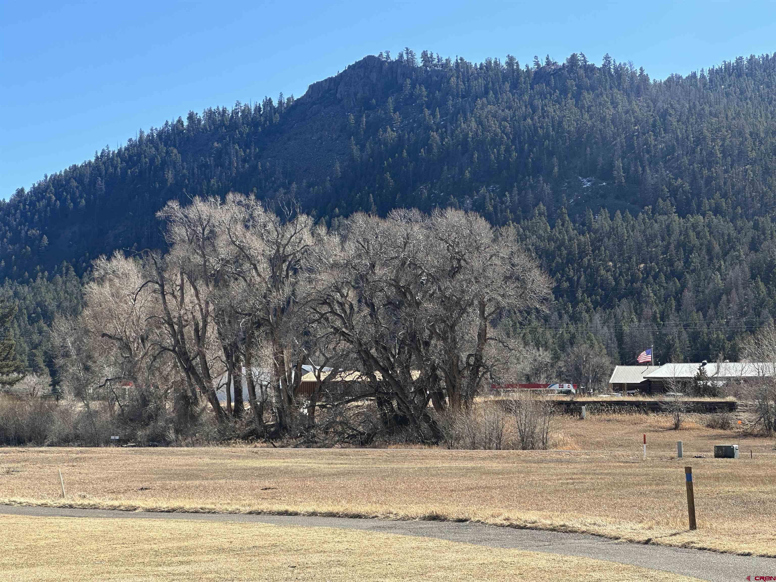 160 West Riverside Court South Fork, CO 81154 - Photo 3 of 16 a view of a yard with trees