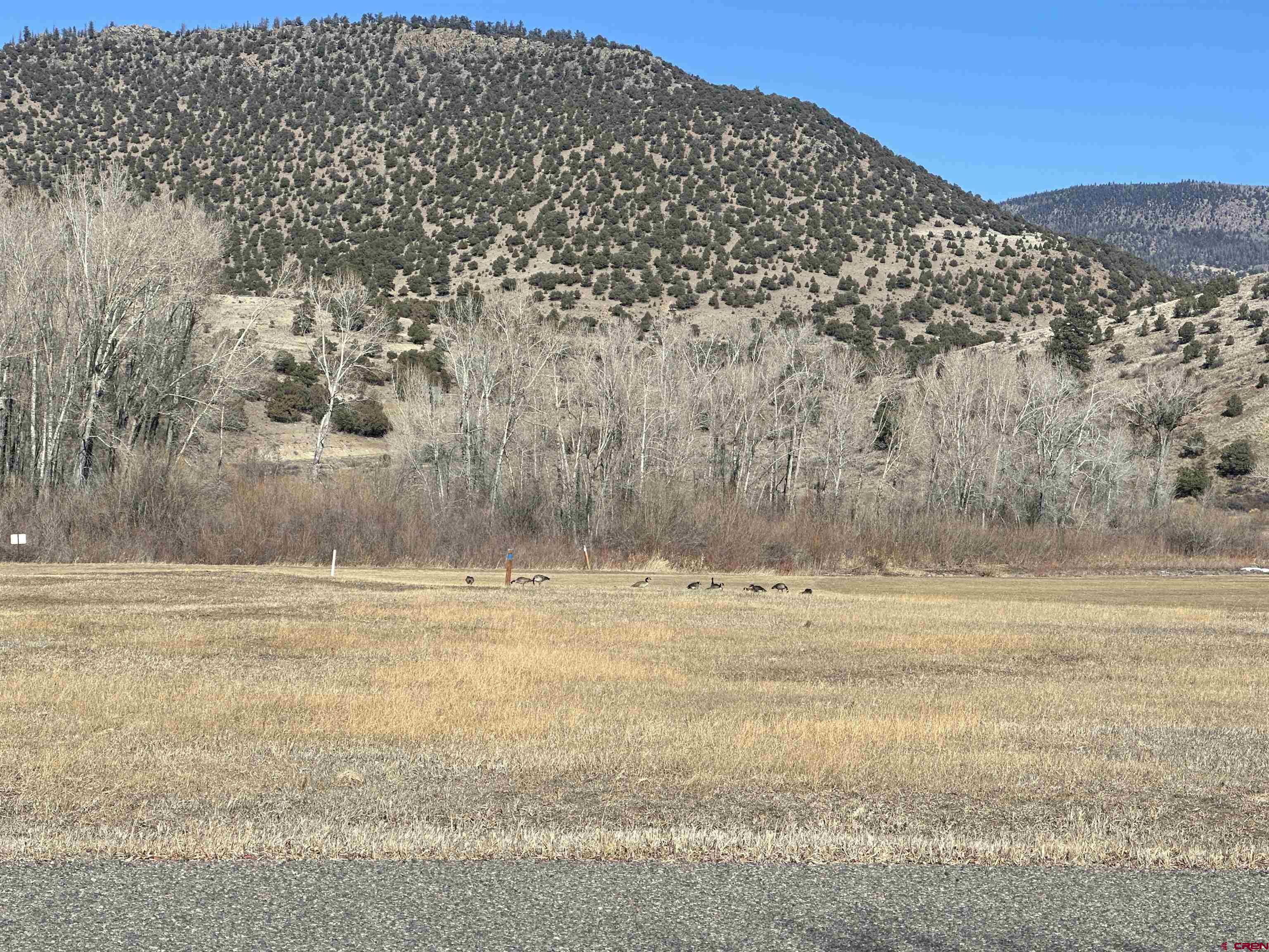 160 West Riverside Court South Fork, CO 81154 - Photo 8 of 16 a view of a large yard of a beach