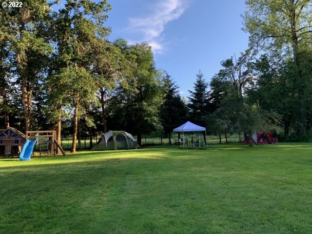 82386 Parvin Road Dexter, OR 97431 - Photo 6 of 32 a view of a park with large trees