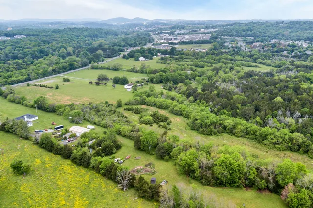 a view of a forest with a lake