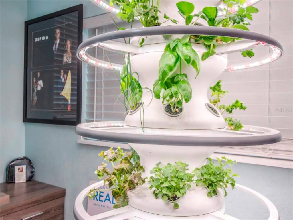 Undisclosed Address Orlando, FL 32806 - Photo 11 of 30