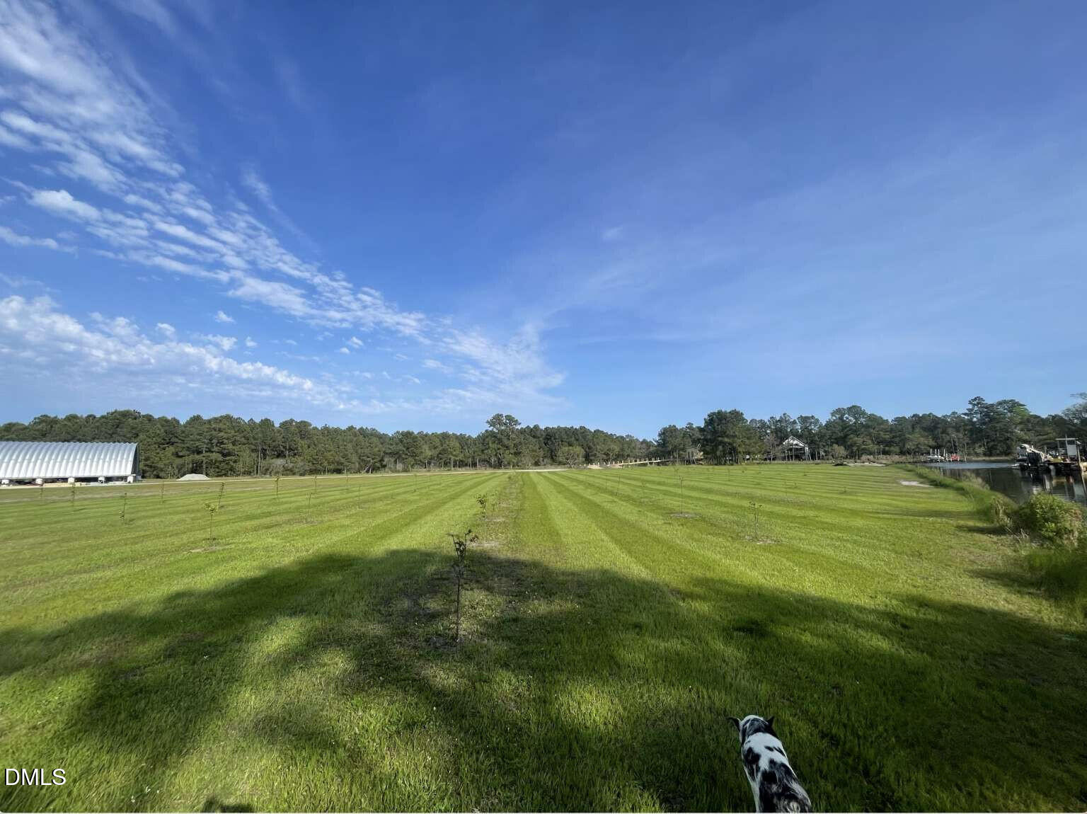 3927 Whortonsville Road Merritt, NC 28556 - Photo 12 of 13