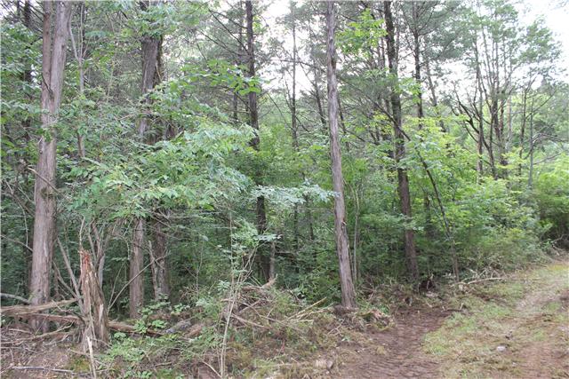 4415 North Chapel Road Franklin, TN 37067 - Photo 8 of 12