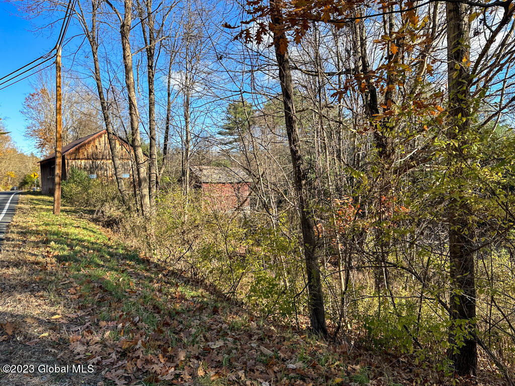 1550 Bay Road Lake George, NY 12845 - Photo 13 of 18 IMG_0561