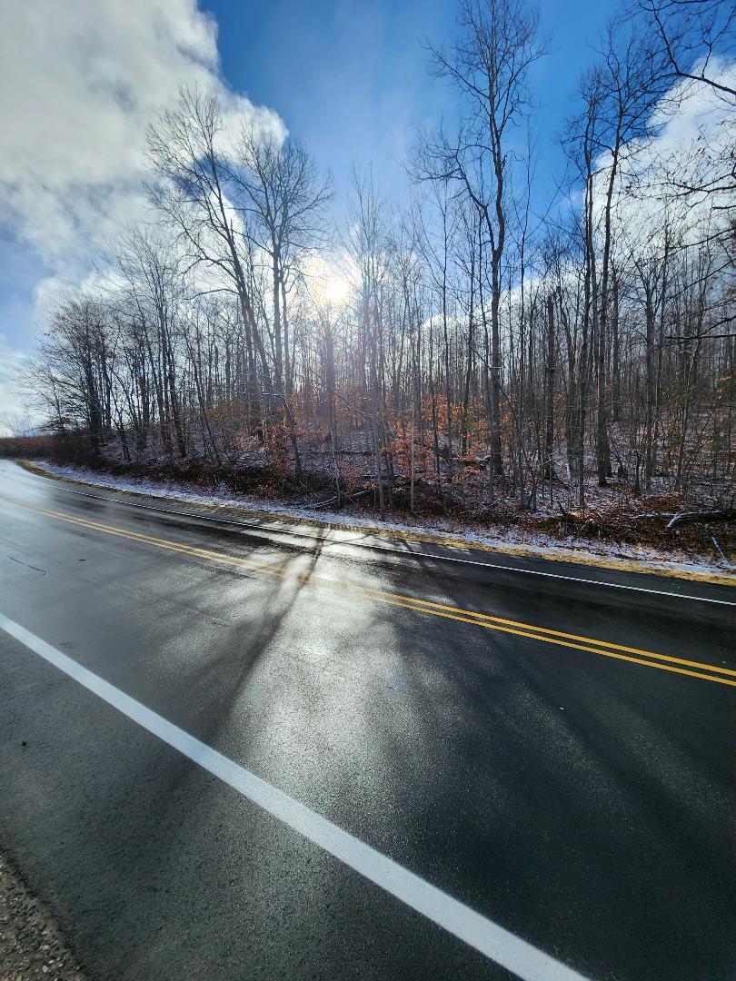 Marlette Road Frederic, MI 49733 - Photo 10 of 25 Gallery Image 10
