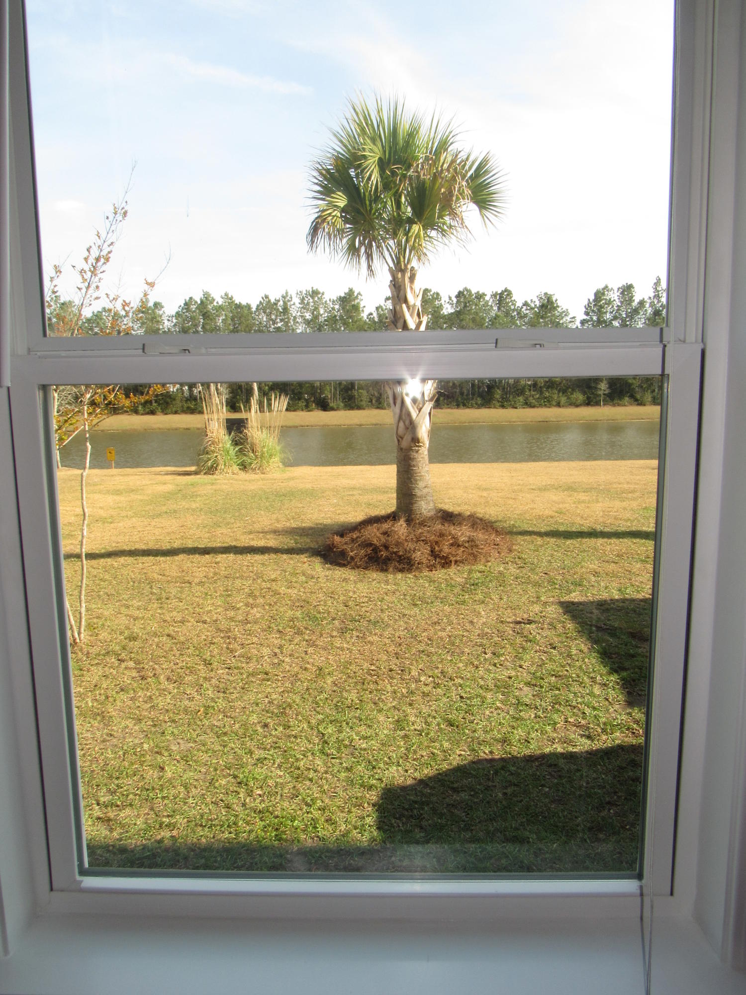 251 Decatur Drive Summerville, SC 29486 - Photo 14 of 43 View from 1st Floor Bedroom
