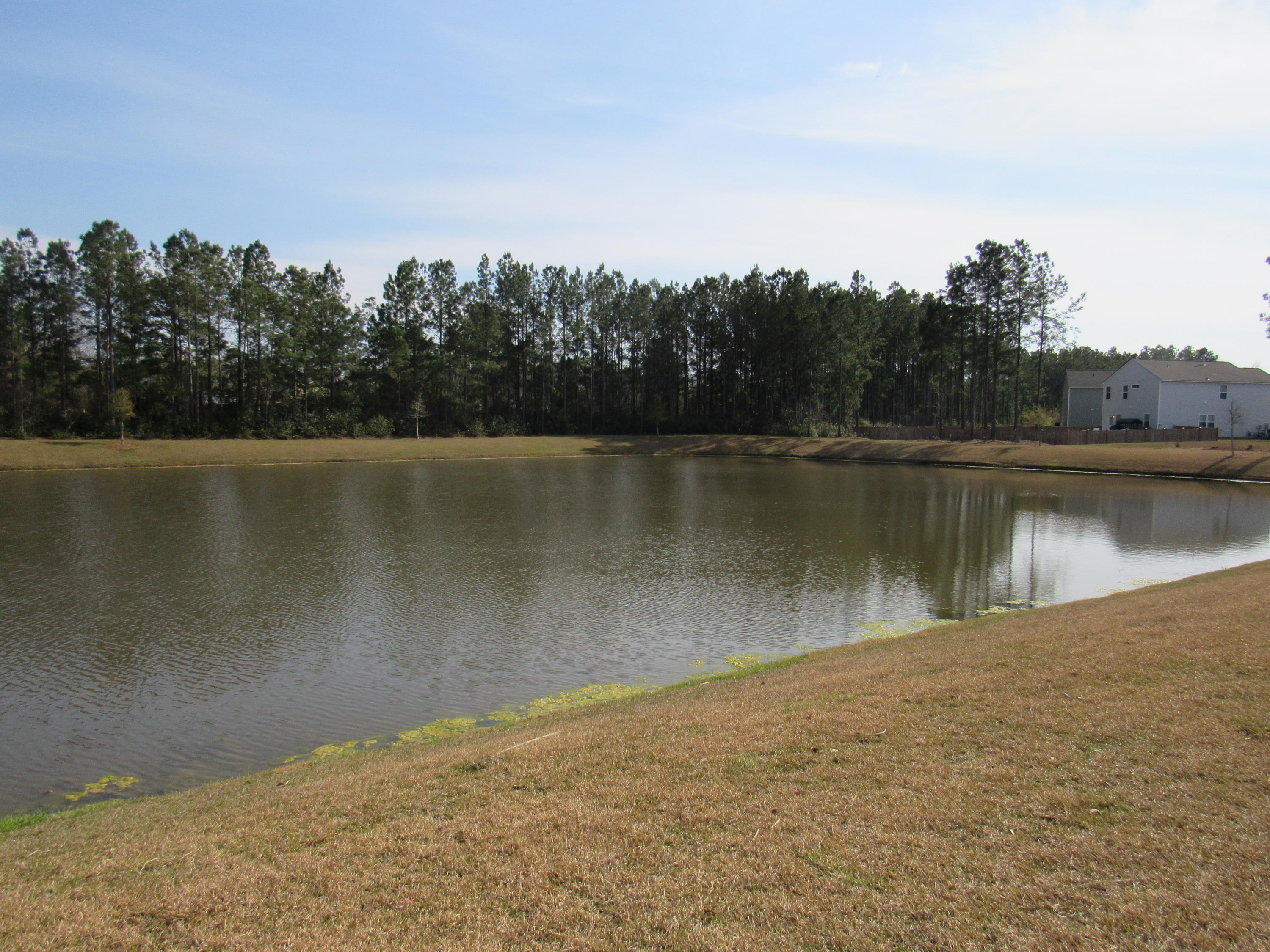 251 Decatur Drive Summerville, SC 29486 - Photo 31 of 43 Lake View