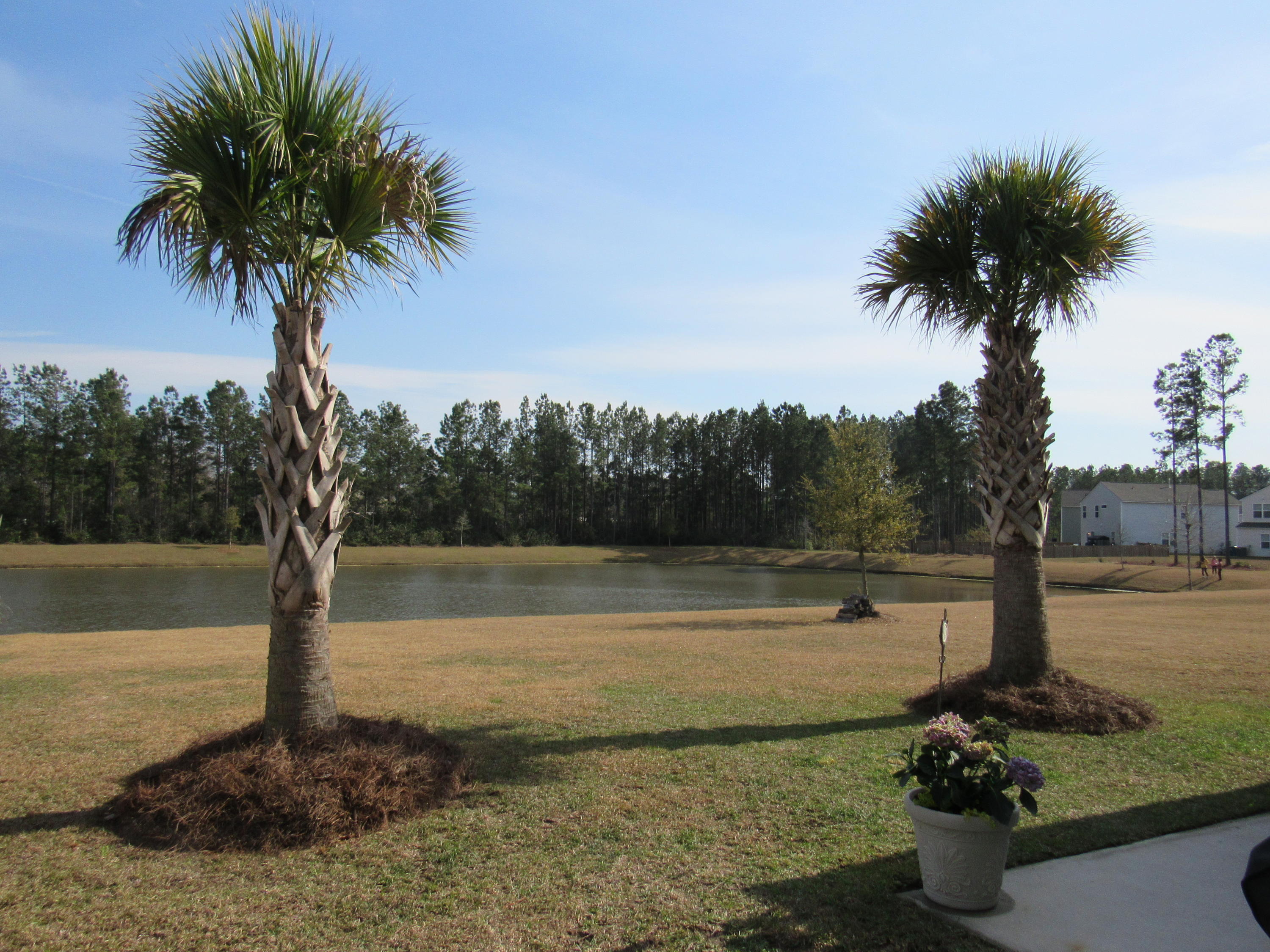 251 Decatur Drive Summerville, SC 29486 - Photo 35 of 43 Lakeview 1