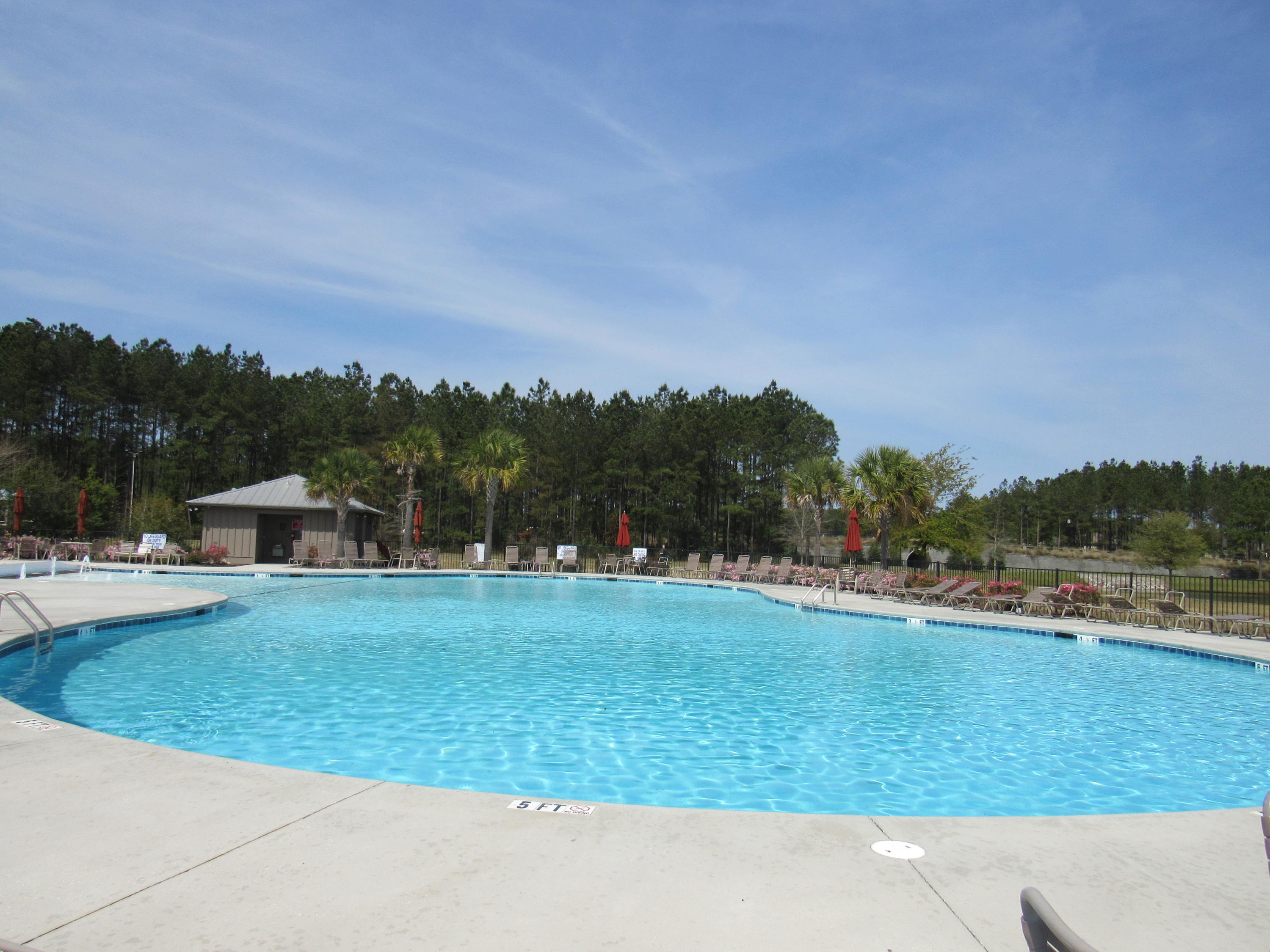 251 Decatur Drive Summerville, SC 29486 - Photo 40 of 43 Outdoor Pool