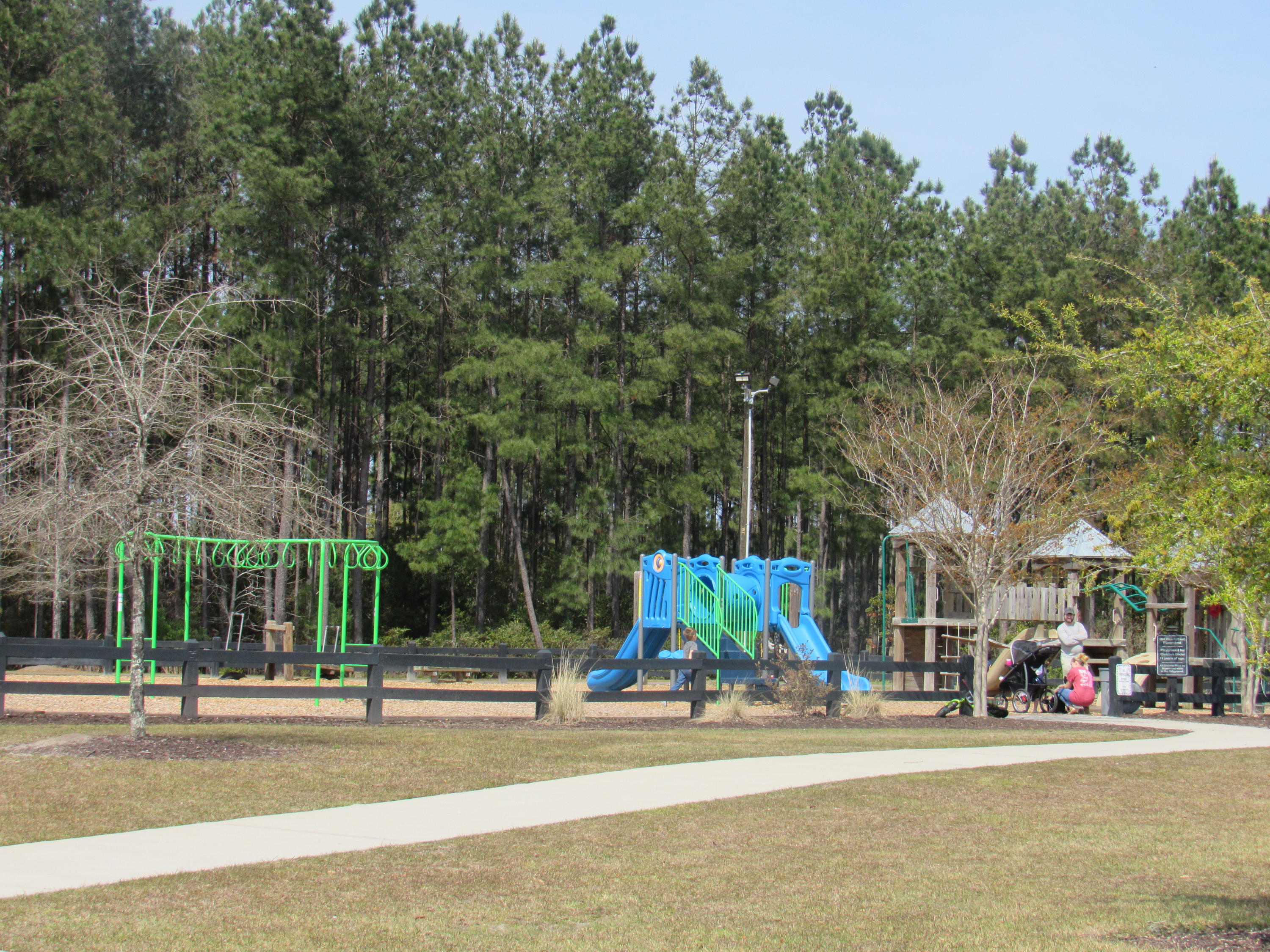 251 Decatur Drive Summerville, SC 29486 - Photo 41 of 43 Play Park