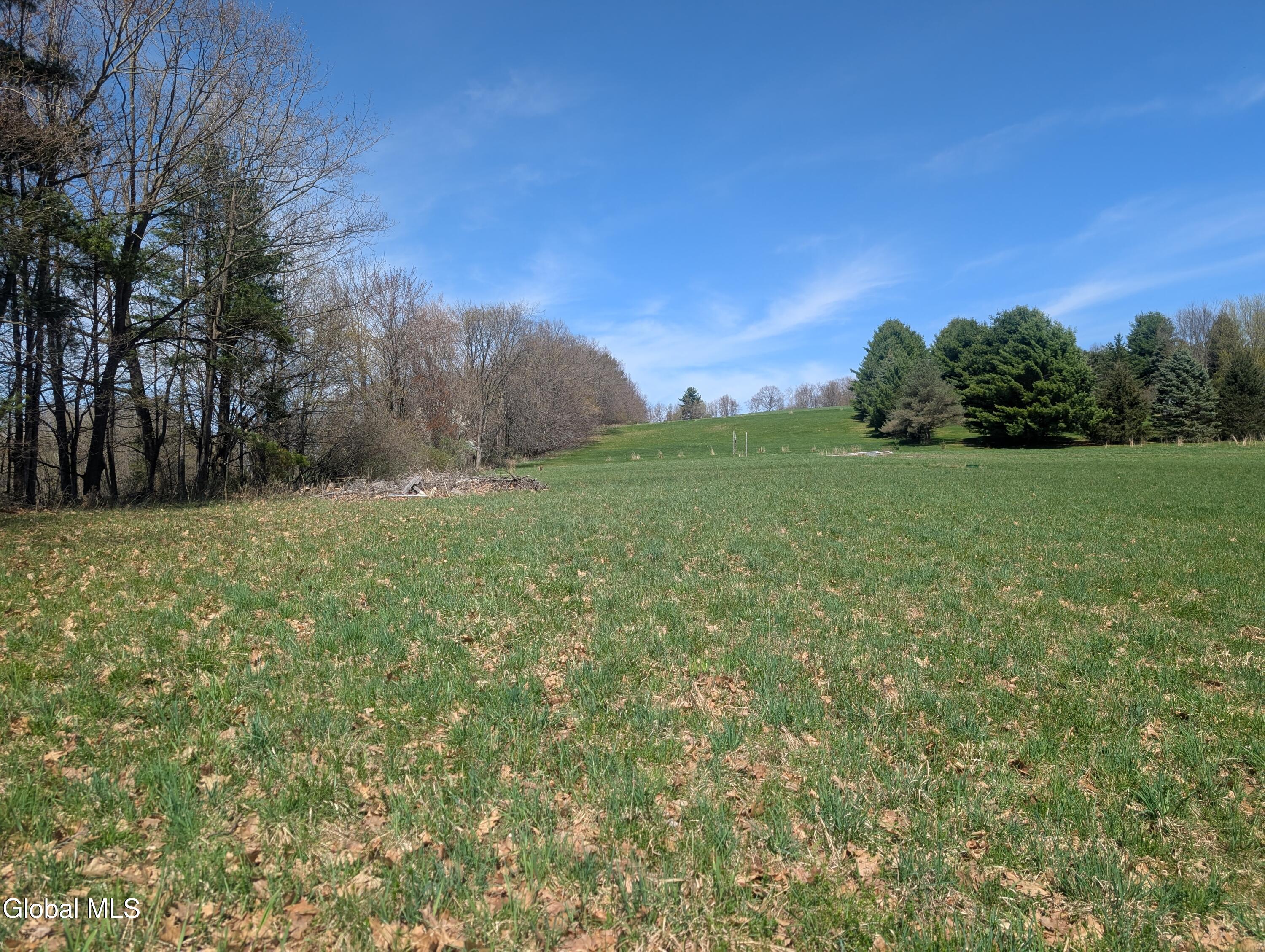 83 Mitchell Road Hoosick, NY 12090 - Photo 12 of 16 Field