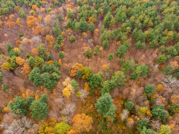 $359,900 | 0 Cook Hill Road, Danielson, CT 06239