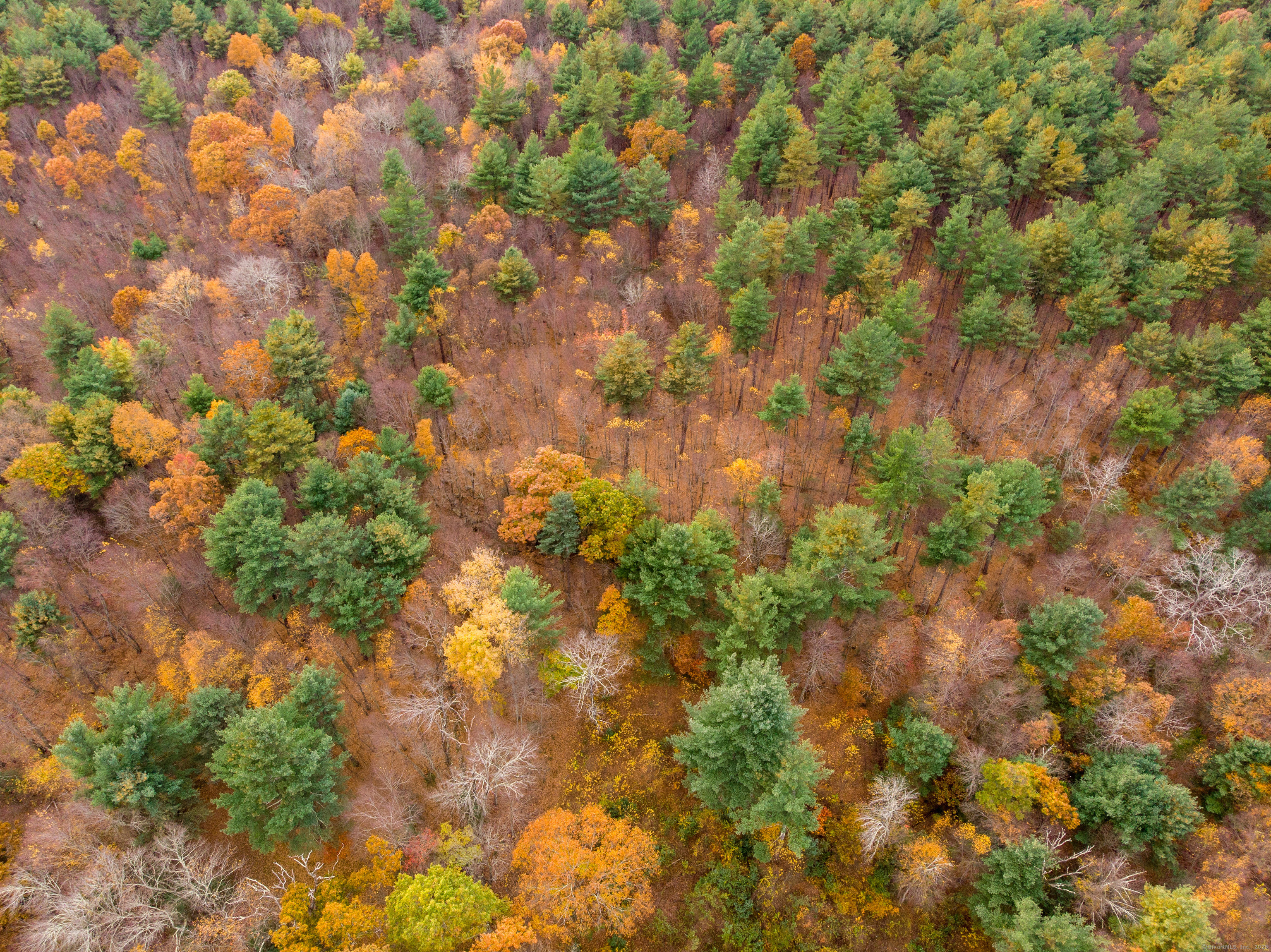 0 Cook Hill Road Danielson, CT 06239 - Photo 4 of 6