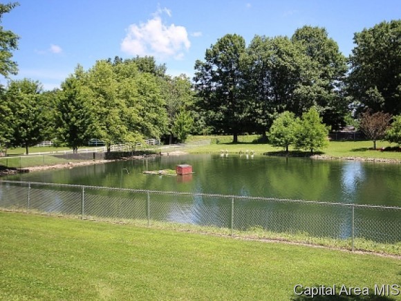 7324 Oak Crest Road Riverton, IL 62561 - Photo 22 of 24 Gallery Image 22