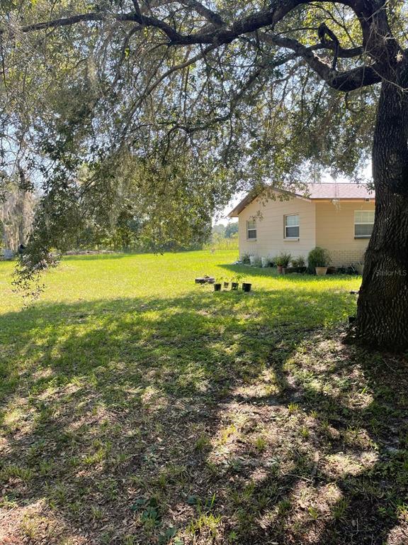 11433 South Rosewater Point Homosassa, FL 34446 - Photo 4 of 7 a view of an ocean from a yard