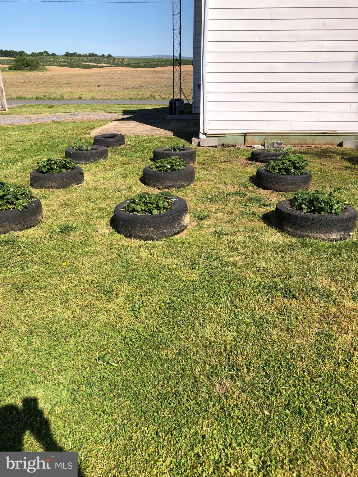 4993 Middle Road Winchester, VA 22602 - Photo 9 of 32 Vegetables convey!