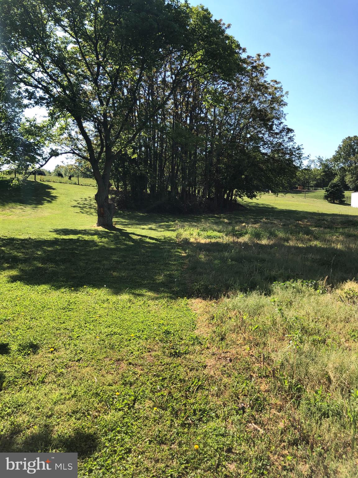 4993 Middle Road Winchester, VA 22602 - Photo 10 of 32
