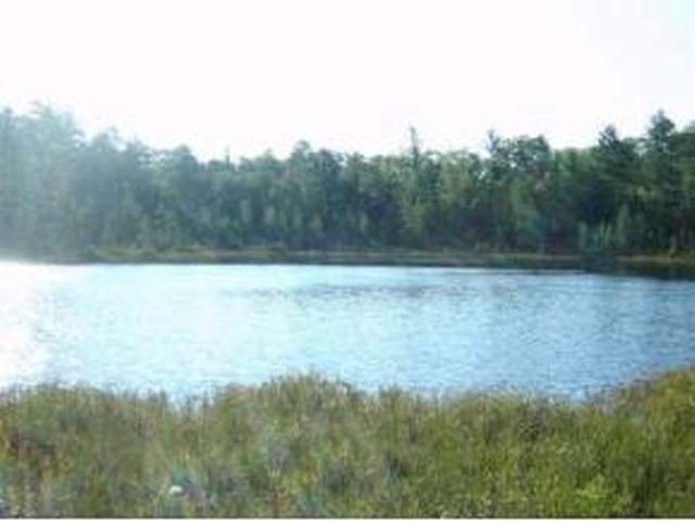On East Bass Lake Road Eagle River, WI 54521 - Photo 1 of 1 Gallery Image 1