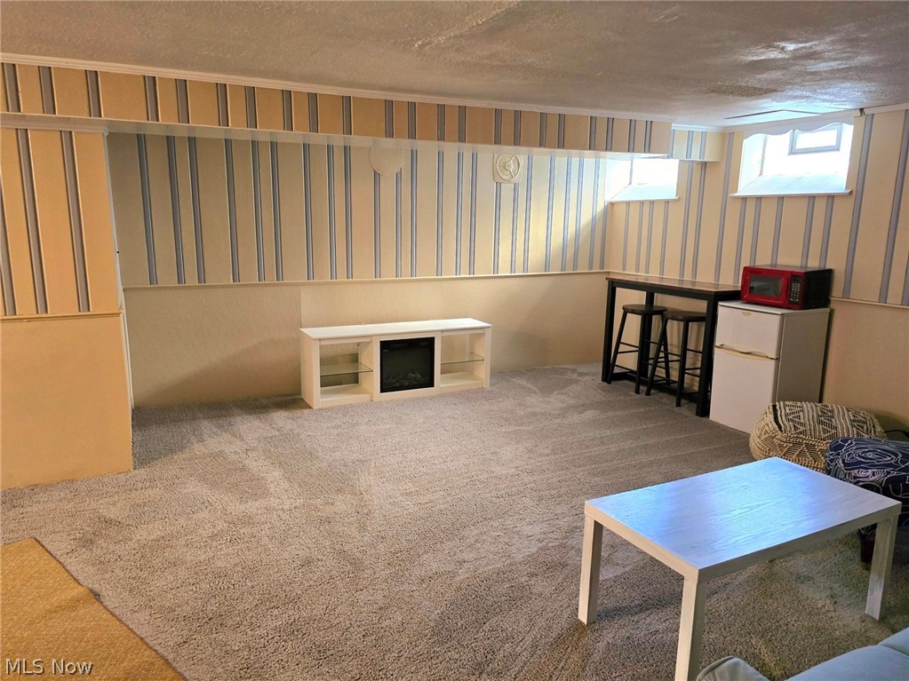 4111 Redfern Road Parma, OH 44134 - Photo 28 of 40 Living room featuring carpeted floor and glass block window
