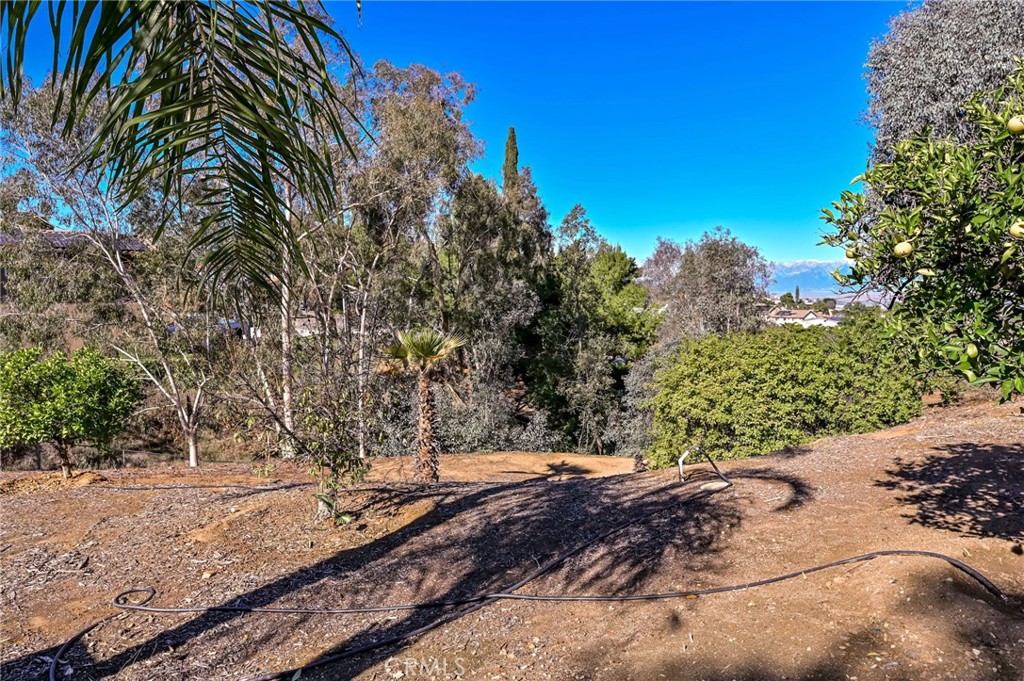 14531 Viewcrest Drive Riverside, CA 92503 - Photo 35 of 66