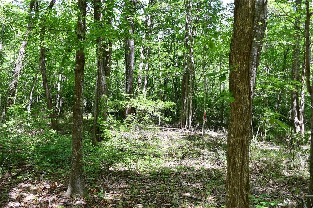 1 Wilson Road Temple, GA 30179 - Photo 22 of 88 a view of outdoor space and trees
