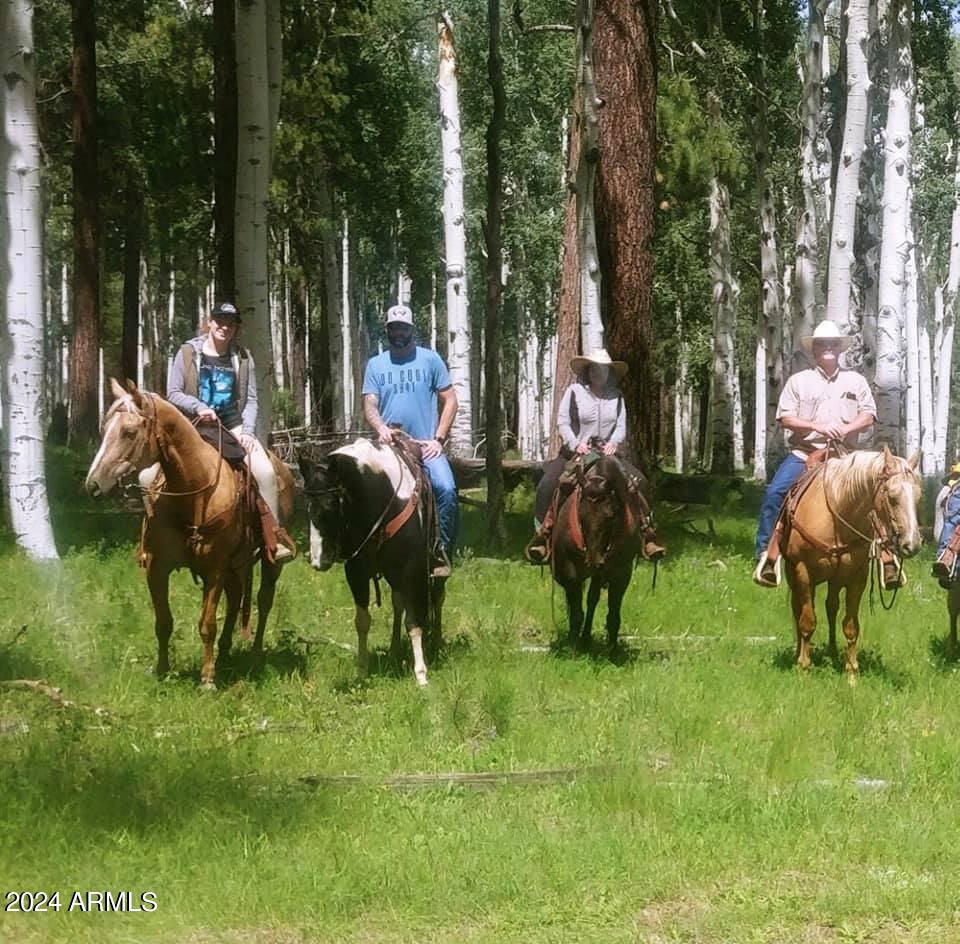 3150 Hi Joe Road Lakeside, AZ 85929 - Photo 53 of 59 Horseback riding