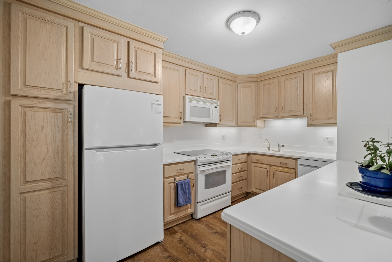 250 Ridge Avenue, Unit 1C Evanston, IL 60202 - Photo 5 of 17