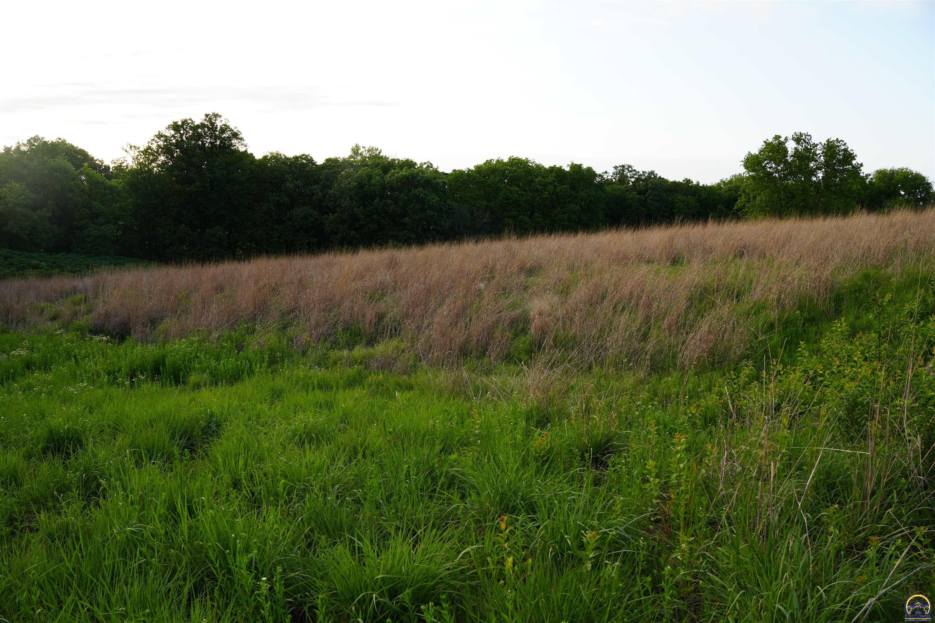 24298 M Road Holton, KS 66436 - Photo 65 of 99
