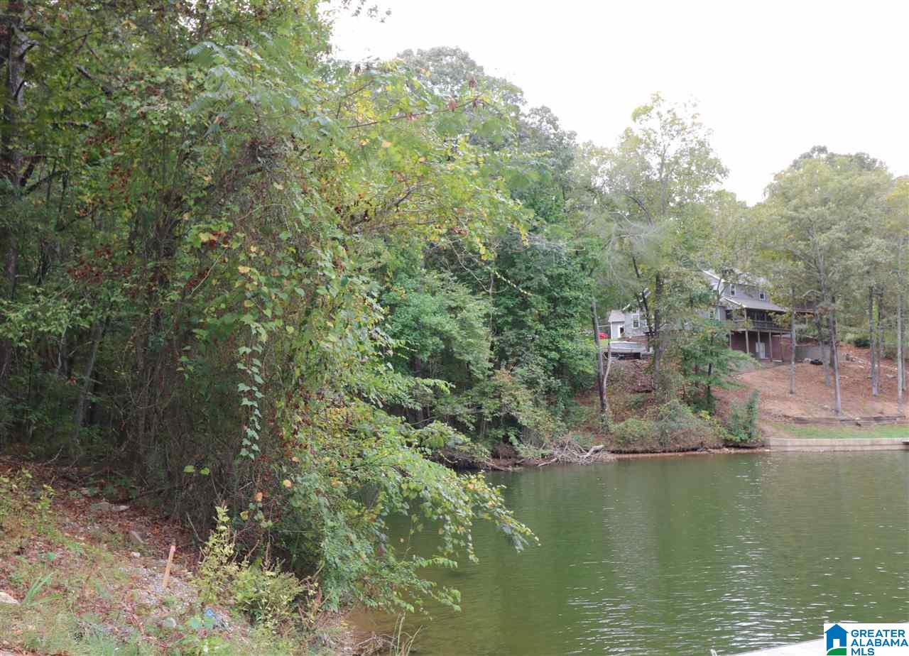 0 Nova Circle, Unit 32 Alpine, AL 35014 - Photo 3 of 6