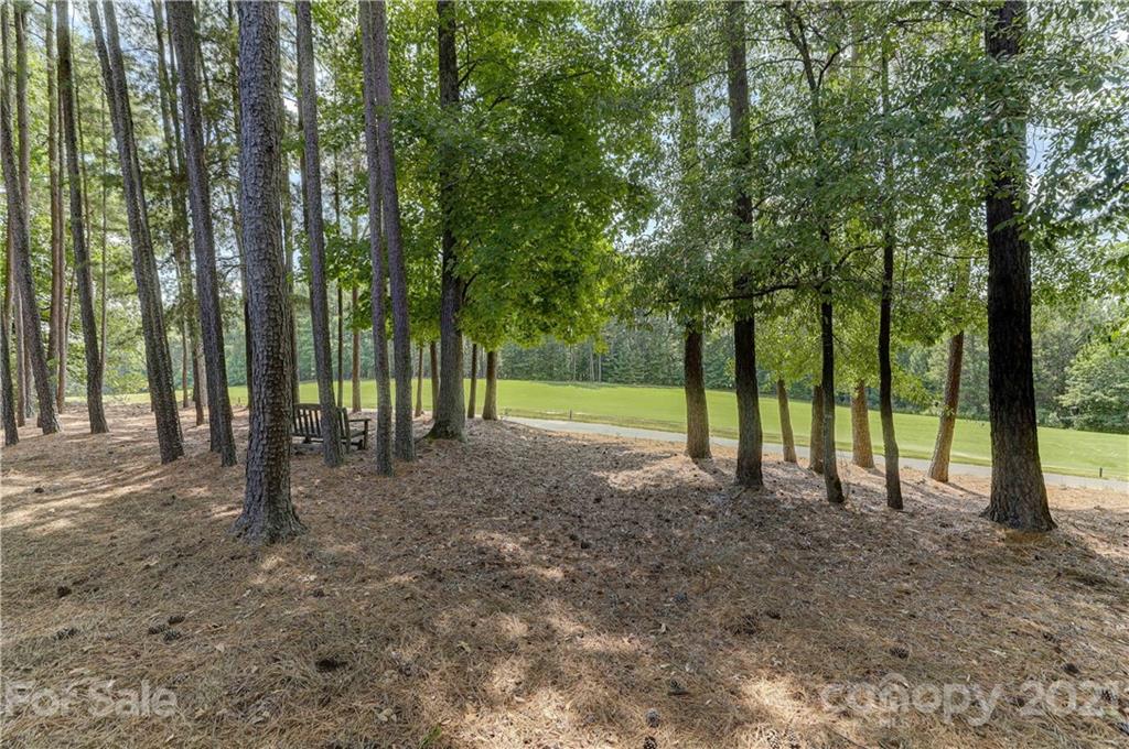 16831 Turtle Point Road Charlotte, NC 28278 - Photo 47 of 47 Gallery Image 47