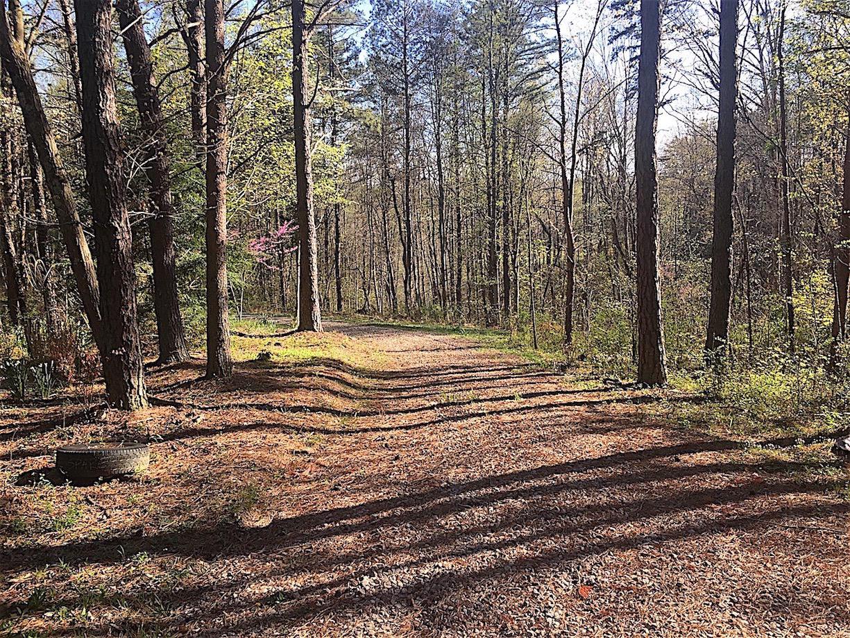 56184 Log Pile Road Ray, OH 45672 - Photo 1 of 35