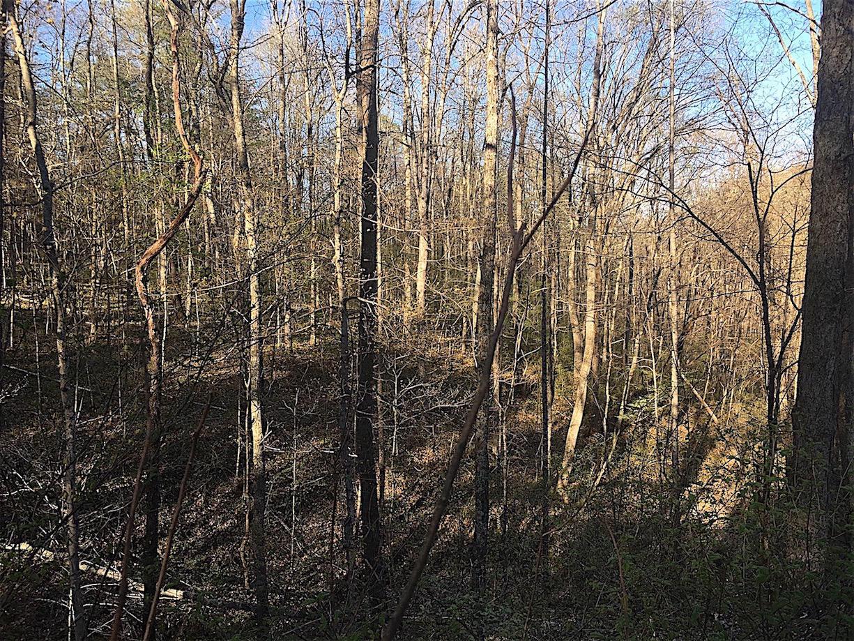 56184 Log Pile Road Ray, OH 45672 - Photo 12 of 35
