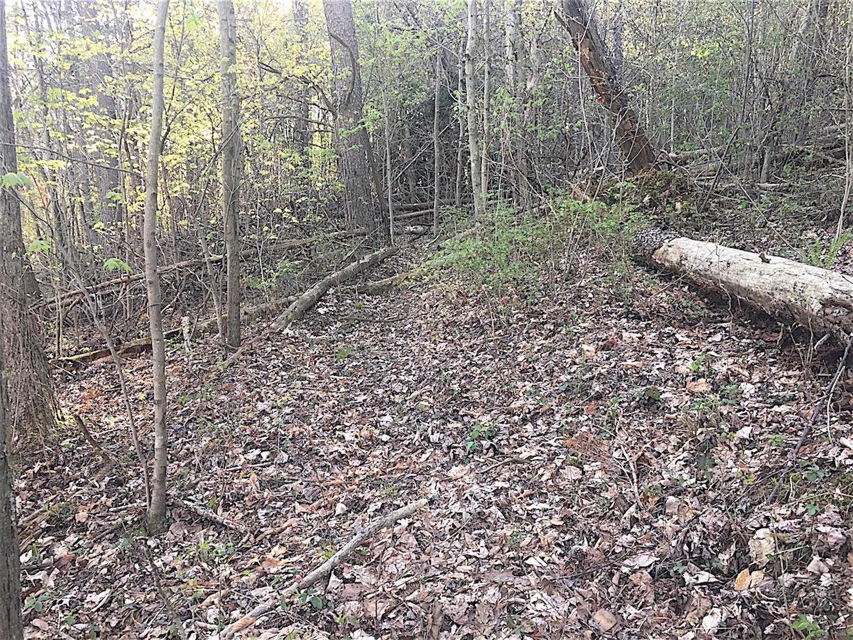 56184 Log Pile Road Ray, OH 45672 - Photo 13 of 35