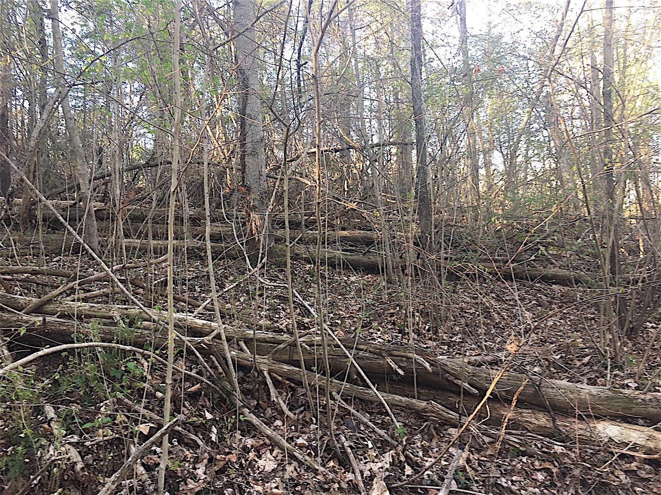 56184 Log Pile Road Ray, OH 45672 - Photo 15 of 35