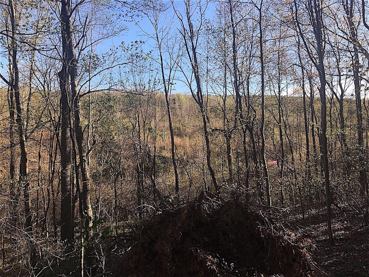 56184 Log Pile Road Ray, OH 45672 - Photo 16 of 35