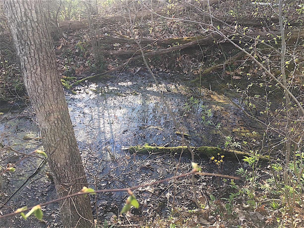 56184 Log Pile Road Ray, OH 45672 - Photo 19 of 35